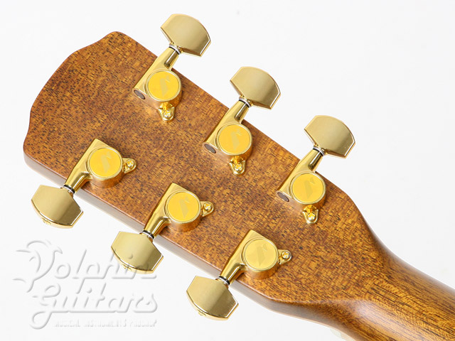 MORRIS W Limited（Hand Made Premium Special Model）|ドルフィンギターズ