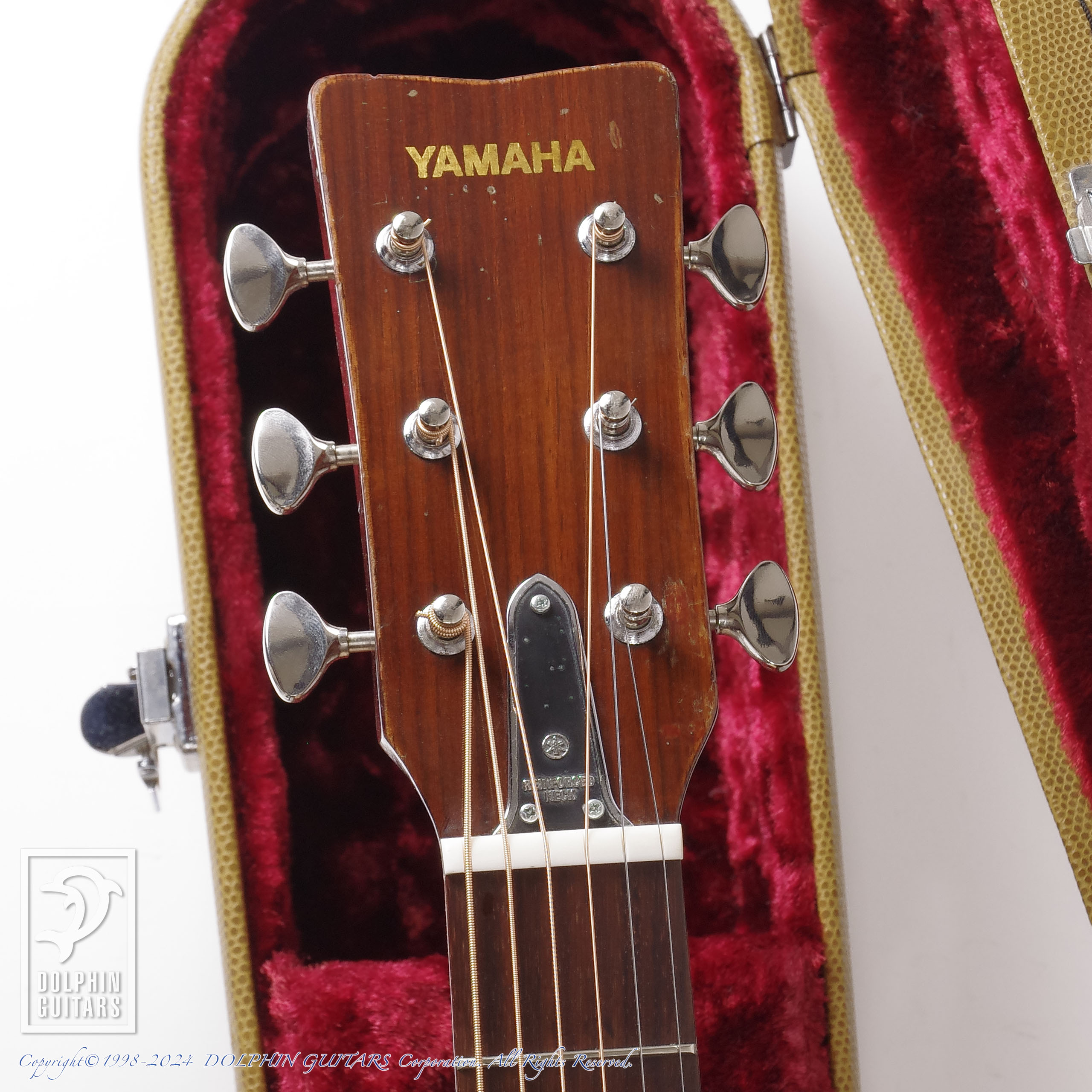 YAMAHA FG-150 (Light Green Label)|ドルフィンギターズ