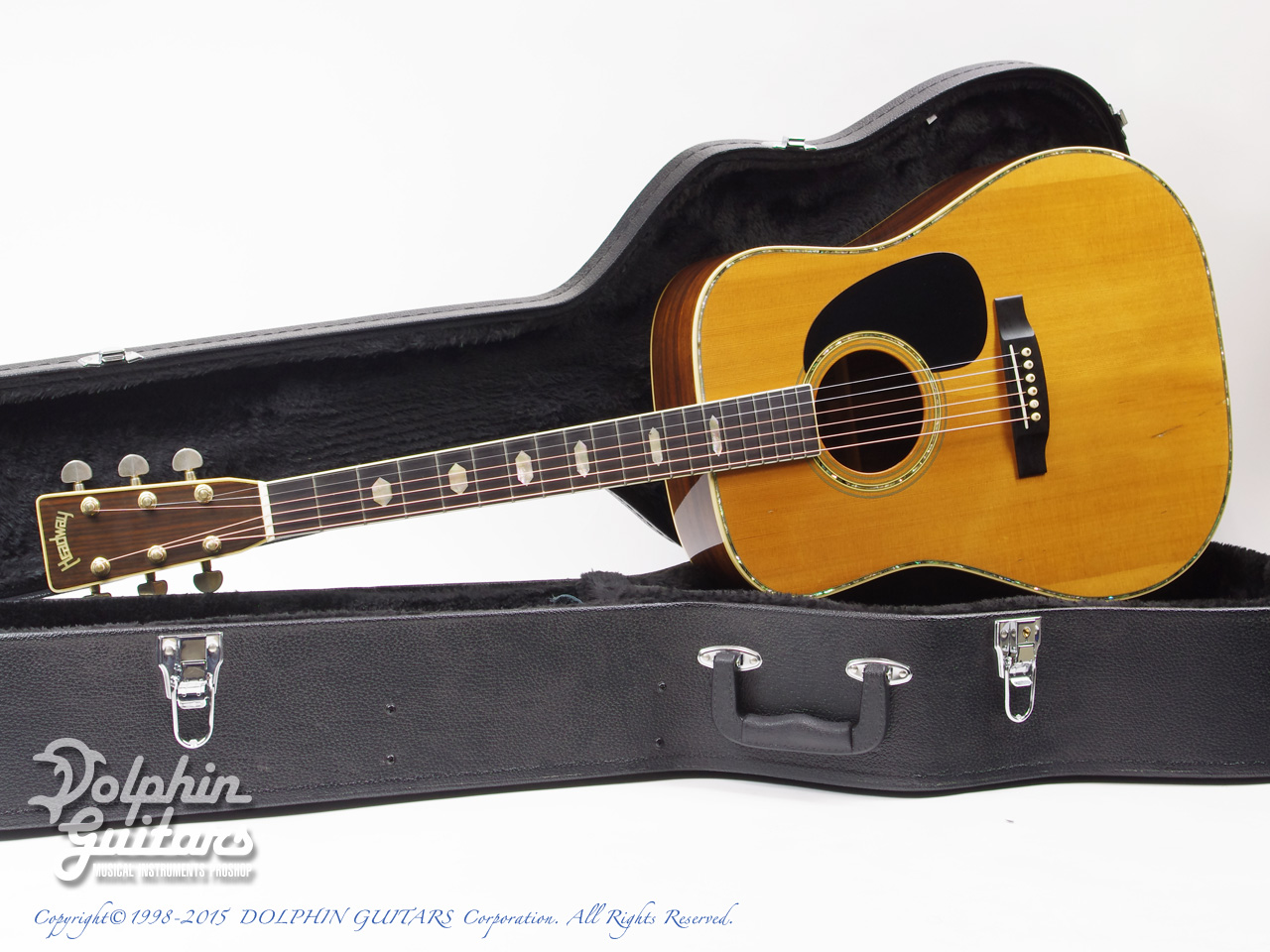 HEADWAY HD-210|ドルフィンギターズ