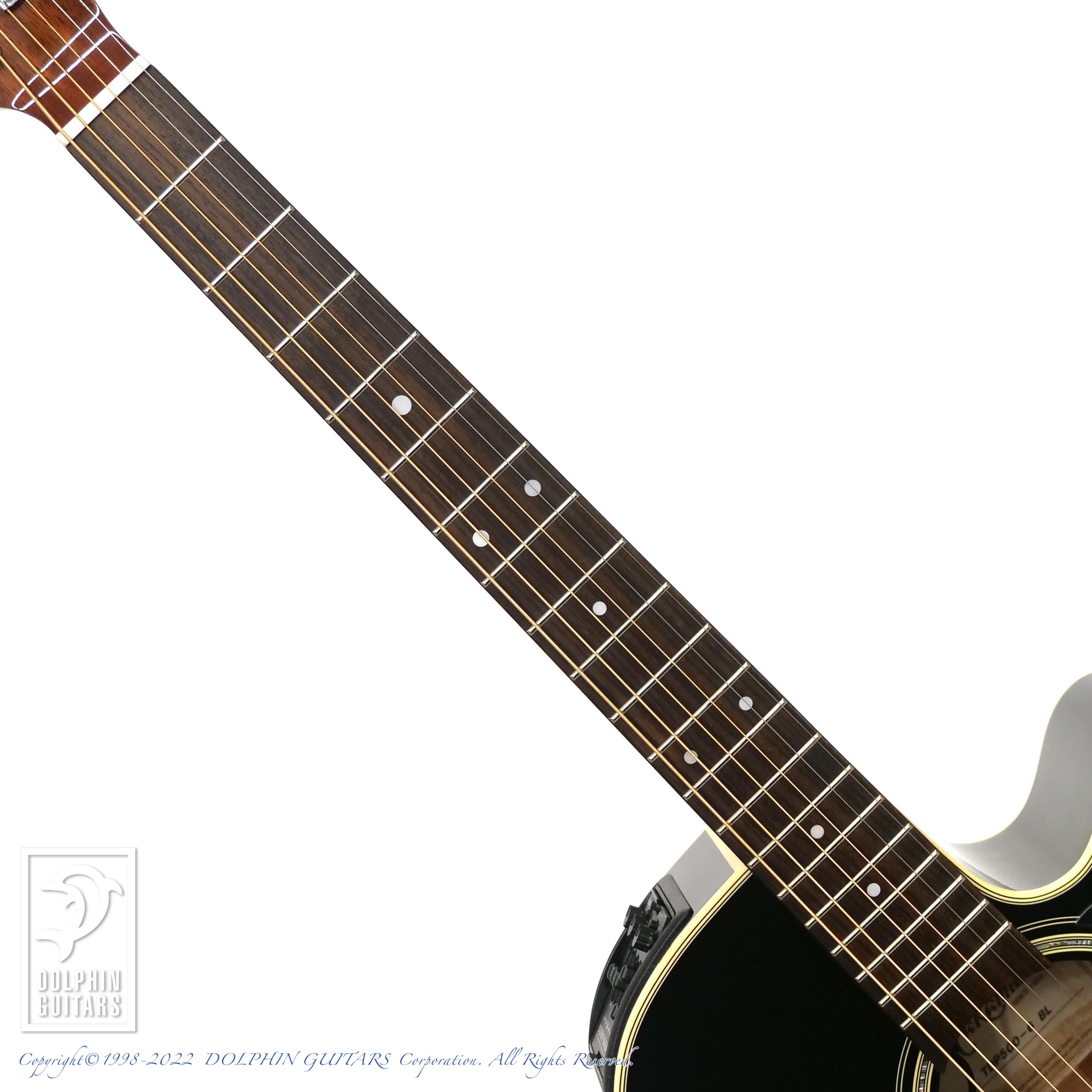 TAKAMINE TDP500-6 BL|ドルフィンギターズ