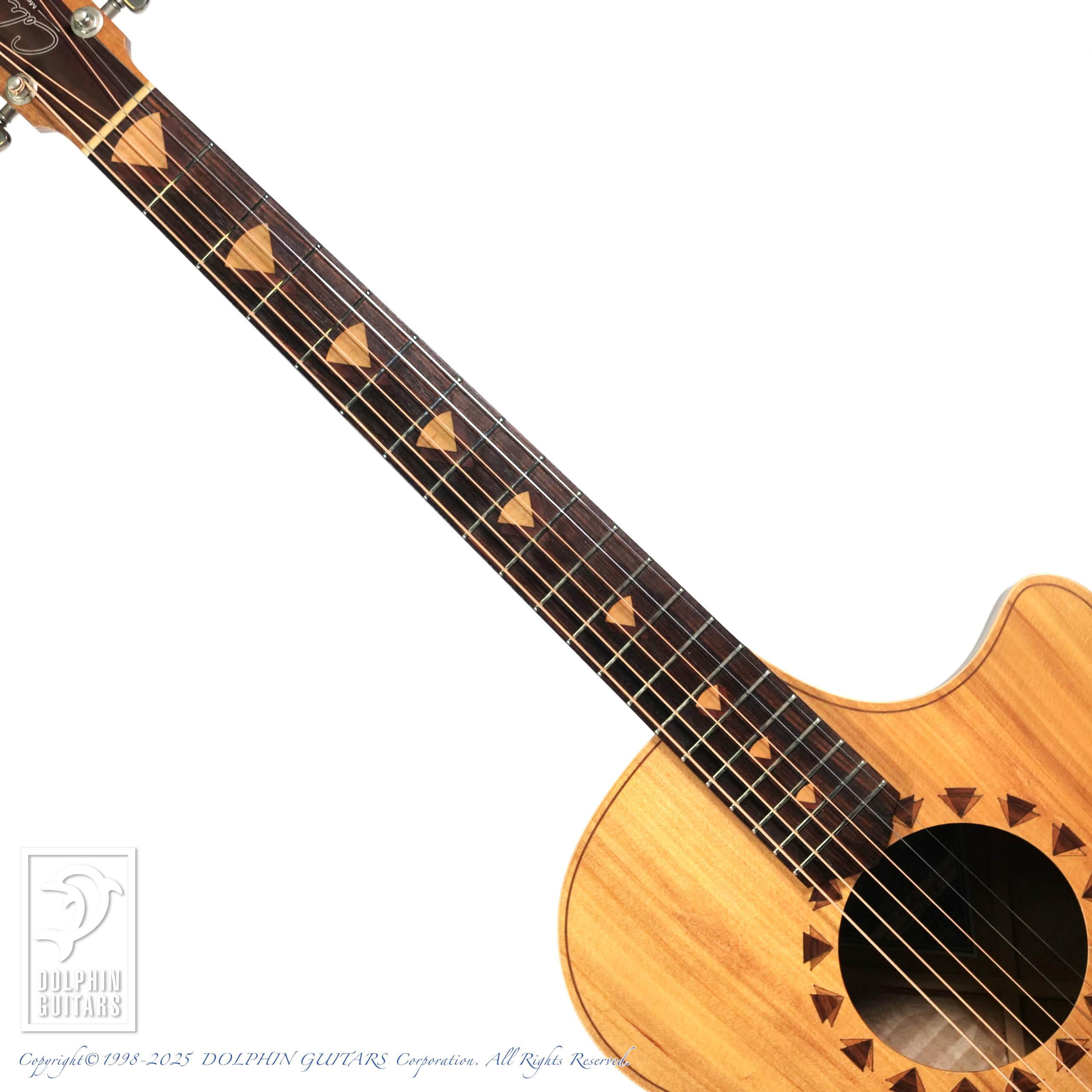 COLE CLARK AN2AC|ドルフィンギターズ