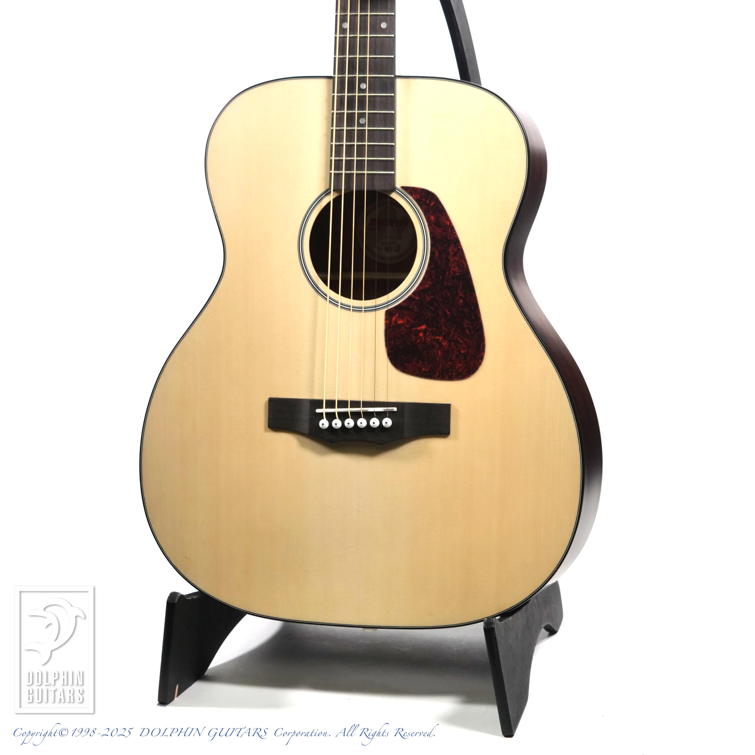 MORRIS F-1 NAT|ドルフィンギターズ