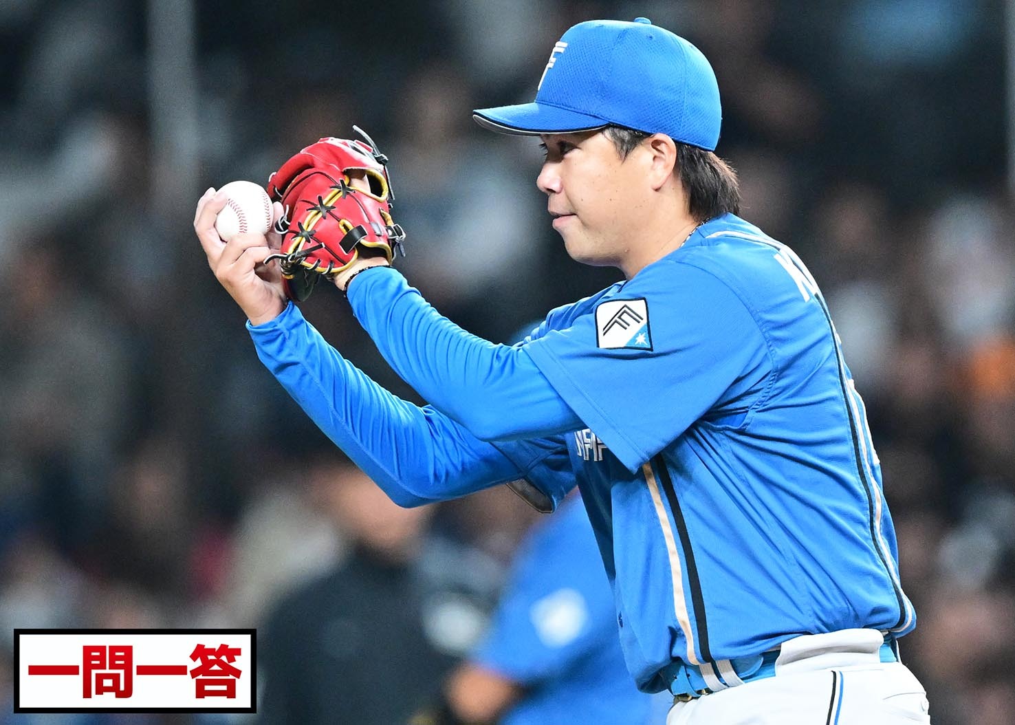 道新スポーツ | DOSHIN SPORTS