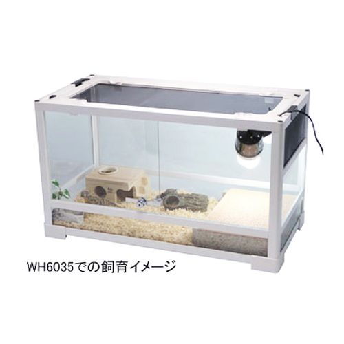 Cindy Entac様 パンテオン6045未使用未開封1台 Cindy Entac様