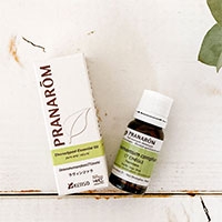 プラナロム社ケモタイプ精油【ラヴィンツァラ】 木のおもちゃデポー