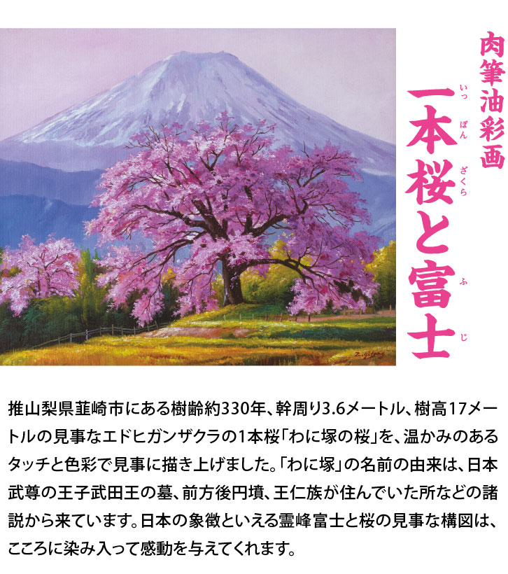 肉筆油彩画 一本桜と富士 ―三宝堂オンラインショップ