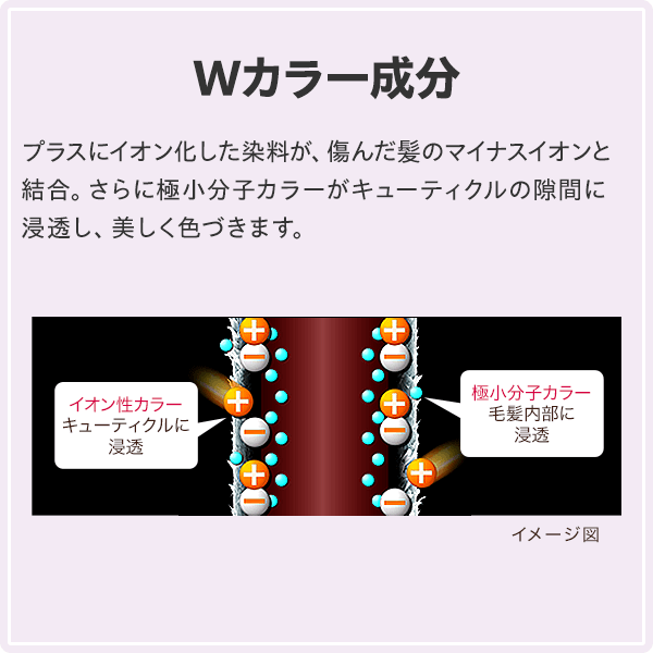 DHC Q10プレミアムカラートリートメント | 白髪染め・カラー