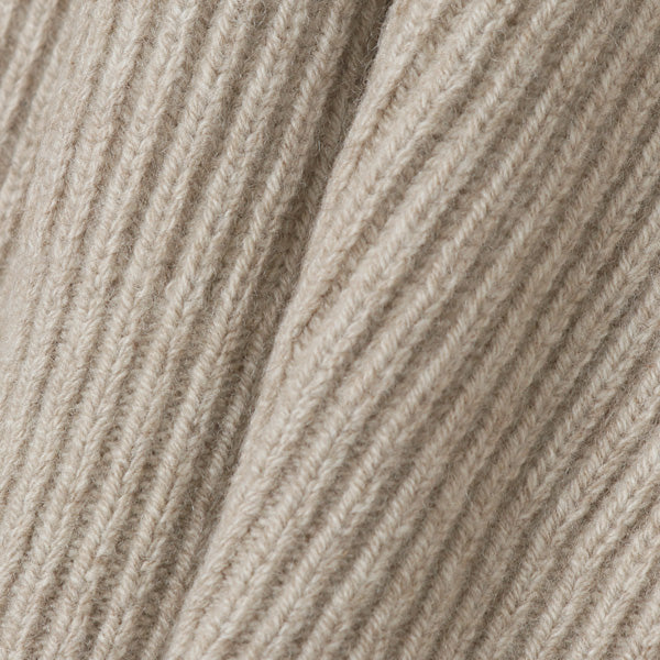 CASHMERE WOOL RIB KNIT BIG P/O (A9AP01CW) | AURALEE / トップス