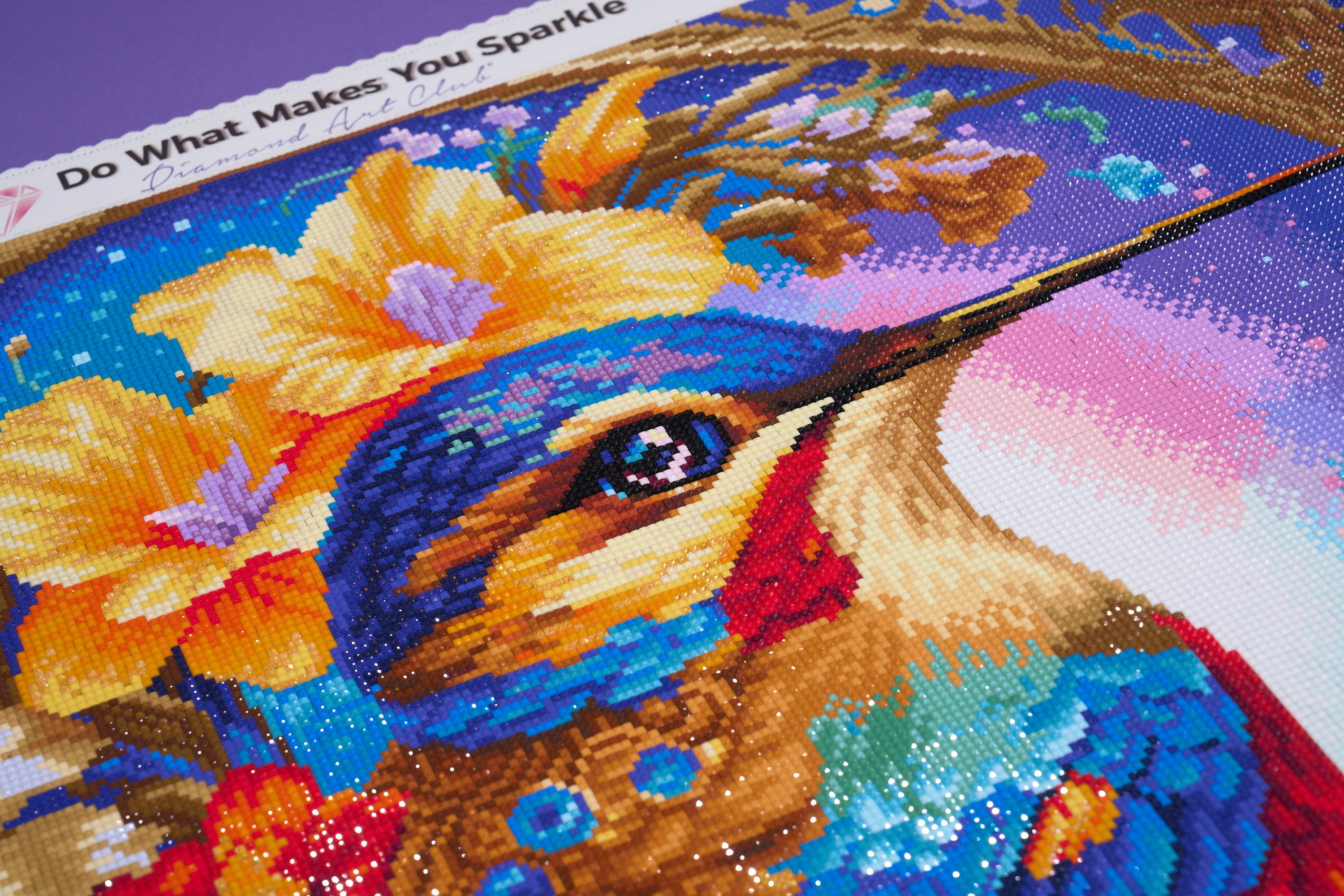Happy Hummingbird – Diamond Art Club