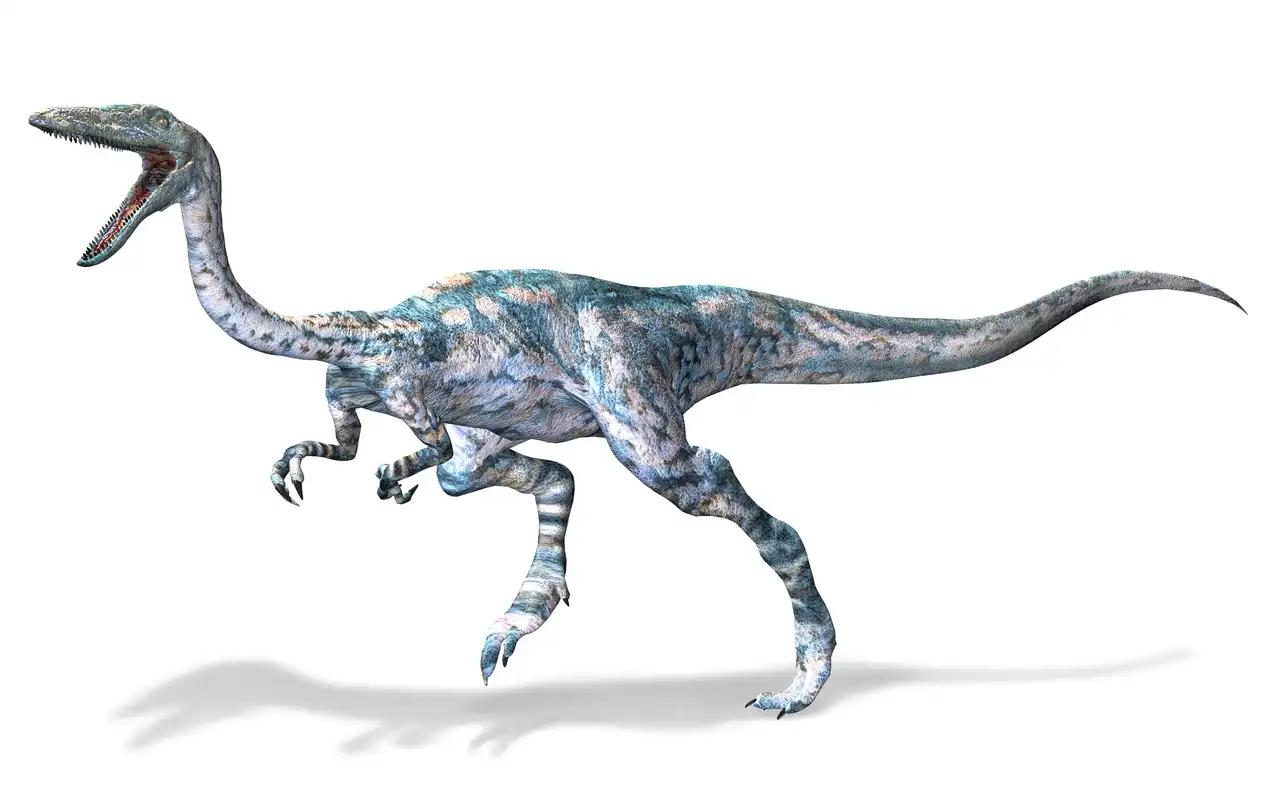 コエロフィシス（Coelophysis） | 探そう！好きな恐竜