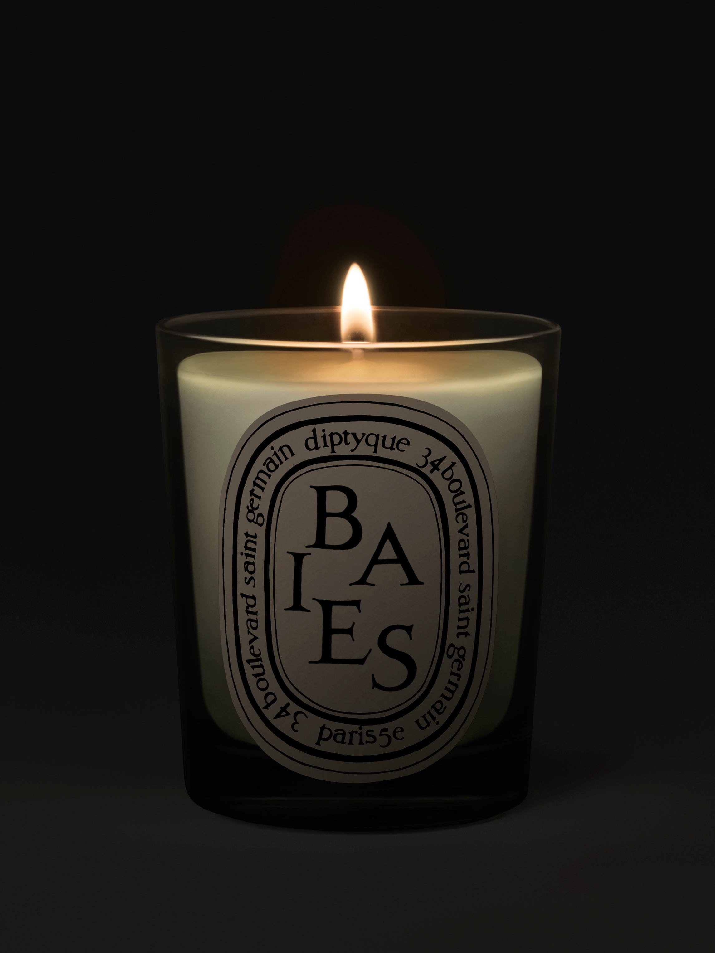 Baies (Berries) - Classic candle | Diptyque Paris