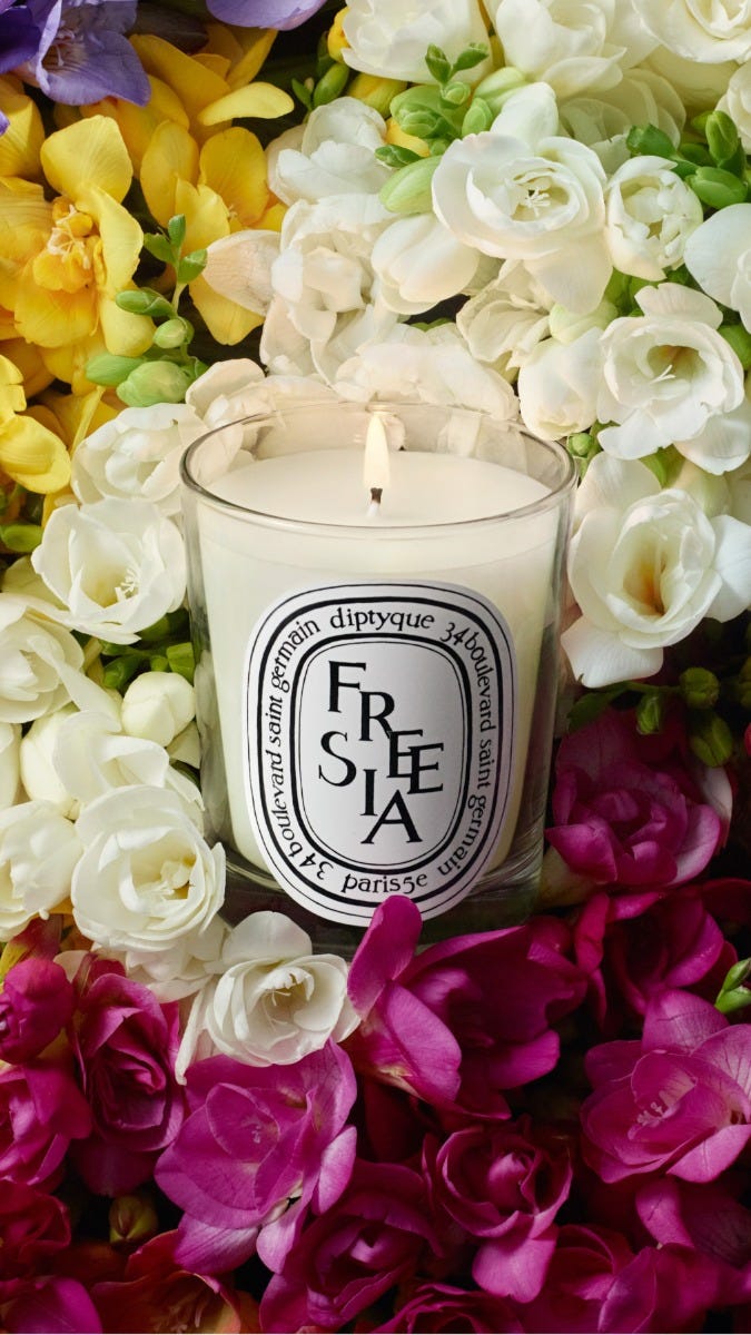 Freesia（フリージア） - クラシックキャンドル | Diptyque Paris