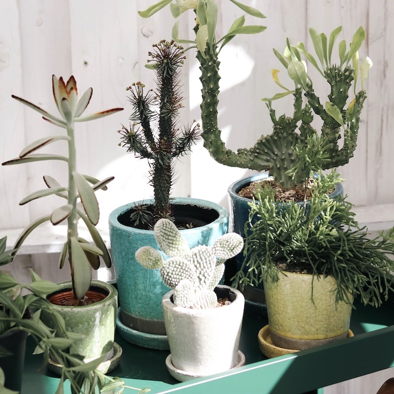 DULTON ONLINE SHOP | COLOR GLAZED POT TURQUOISE(4号 TURQUOISE