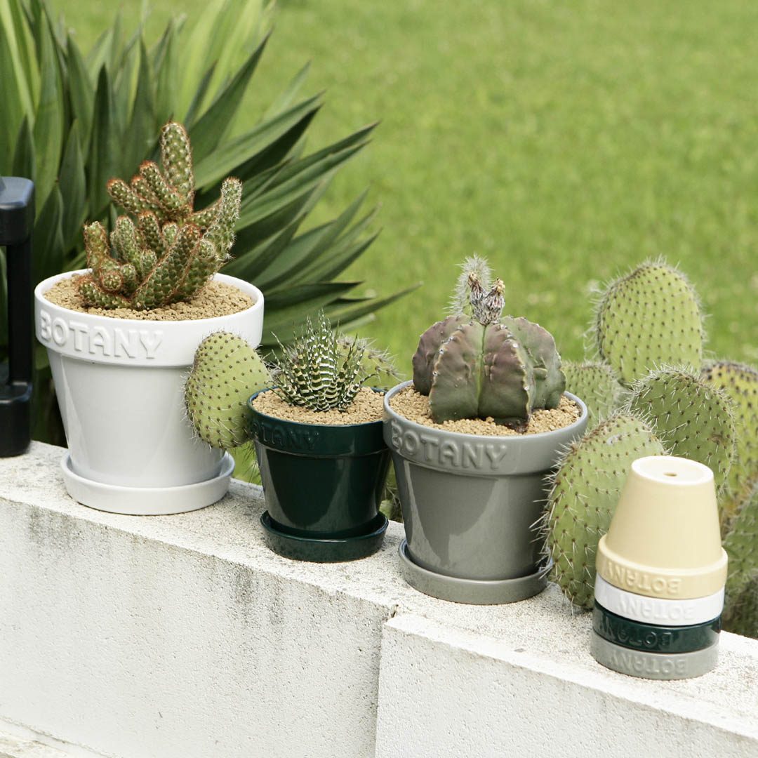 DULTON ONLINE SHOP | BOTANY POT 3 WHITE(3号 WHITE): ガーデン