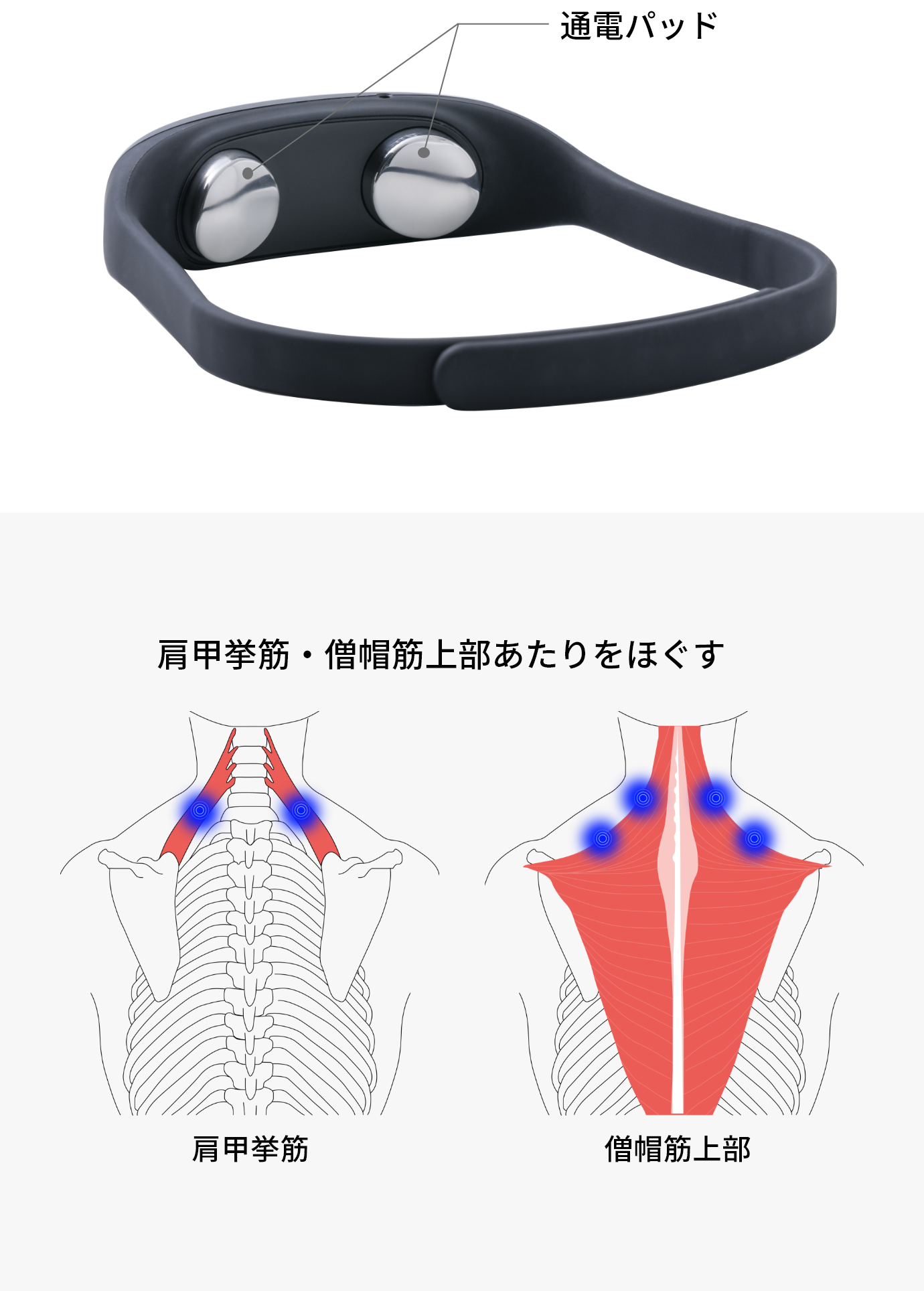 フィットウェーブ | ドクターエア（DOCTORAIR）公式ブランドサイト