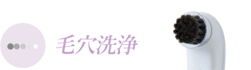 新発売】ホームケアの最上級美顔器「セルビースキン」｜ニュース