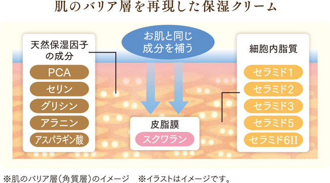 公式】ULU FREE (ウルウフリー) | キープモイストクリーム