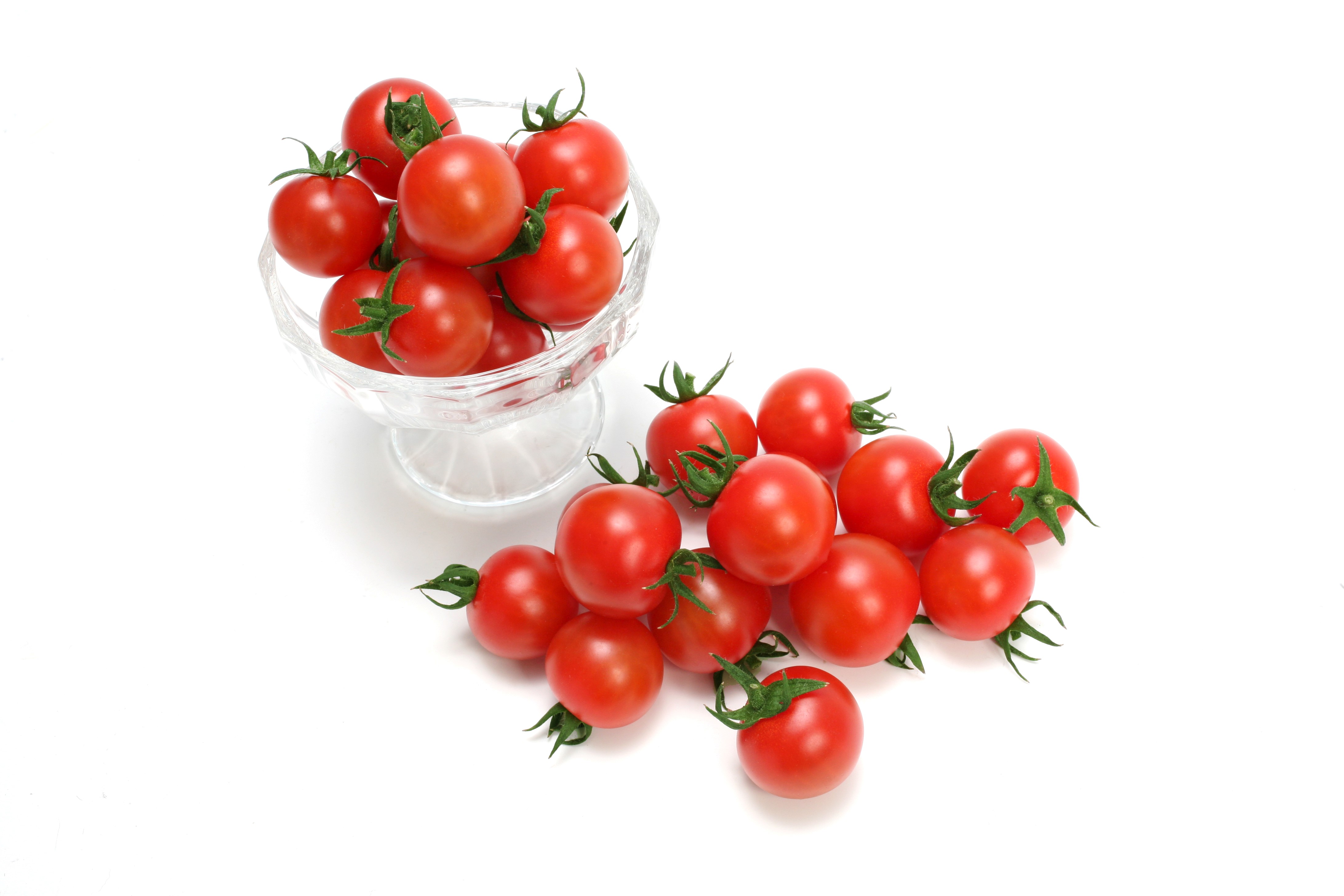 ウルとま TYみわく(MKS-T834)[ミニトマト] - e-種や｜国内最大級の野菜