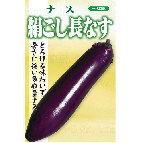 絹ごし長なす[茄子]※2025年秋だね新商品 - e-種や｜国内最大級の野菜種
