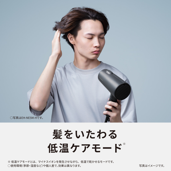 e-TREND｜パナソニック EH-NE5M-A [ヘアードライヤー イオニティ