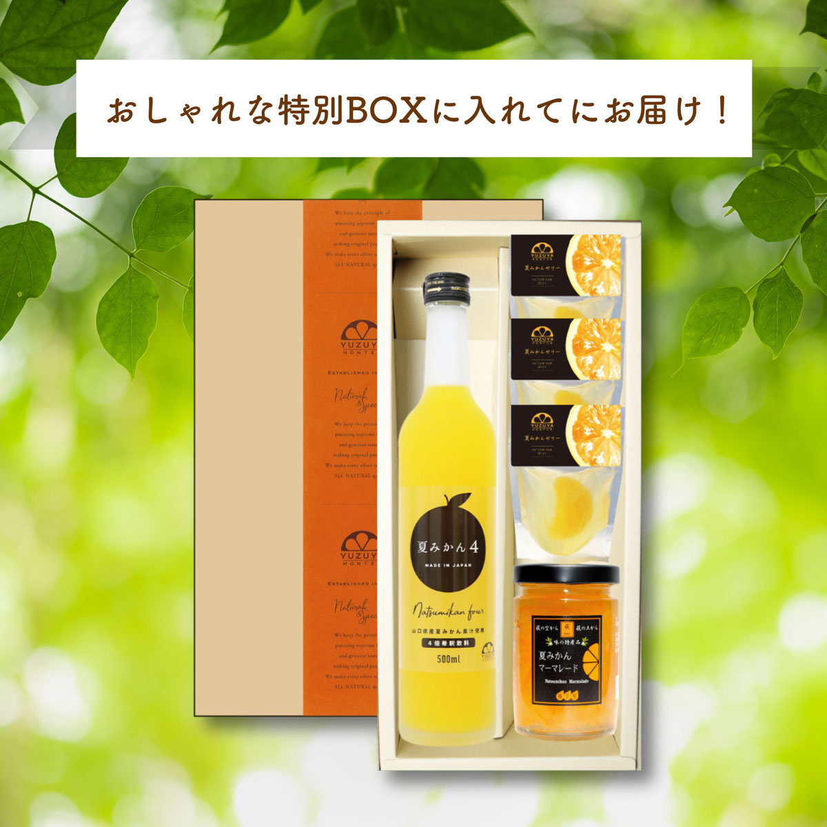 初回限定〈工場直送〉まるごと夏みかんBOX[送料無料] | 柚子屋本店