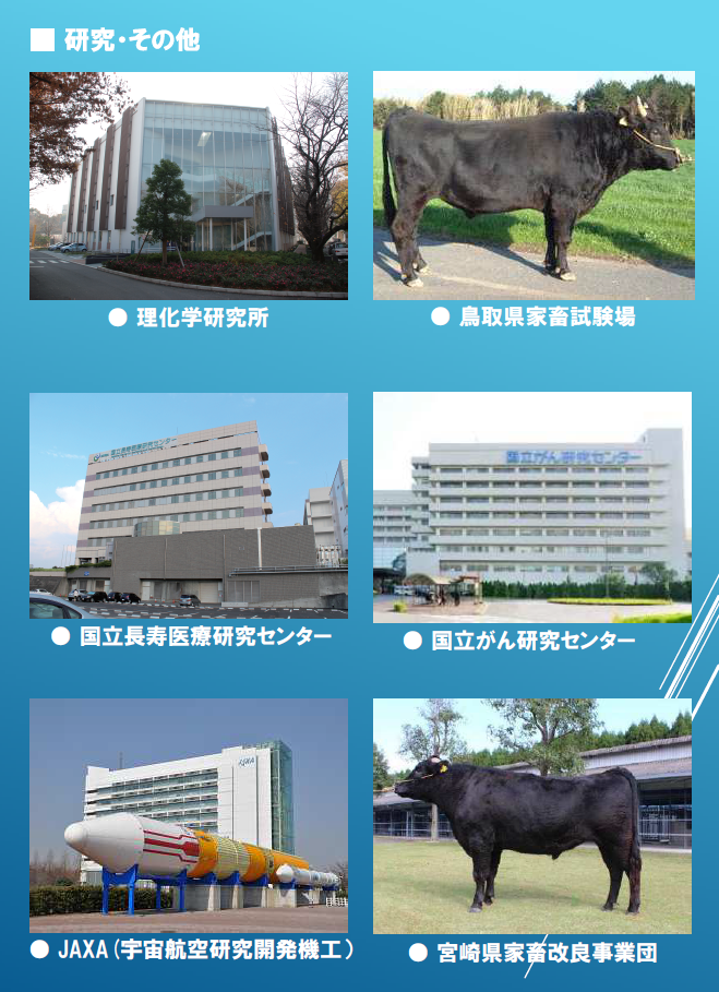 有限会社 丸一厨房 ハイクロソフト水 WELL CLEAN-TE NEO ウェルクリン