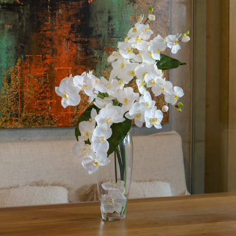 胡蝶蘭(ファレノプシス)のアートフラワー特集|エミリオ・ロバ公式