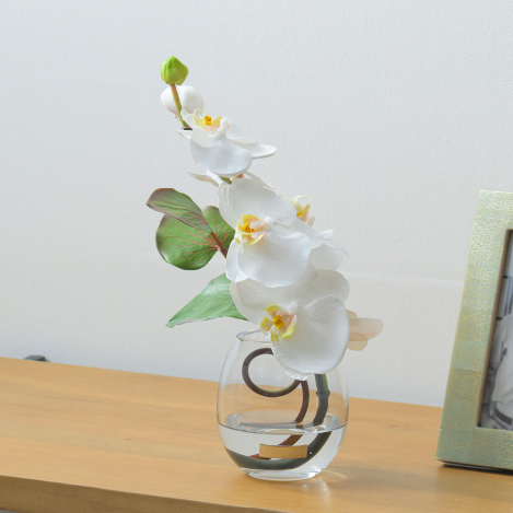 胡蝶蘭(ファレノプシス)のアートフラワー特集|エミリオ・ロバ公式