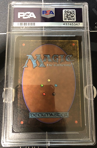 MTG, マジック:ザ・ギャザリング 通販 | ENNDAL GAMES / 【鑑定品