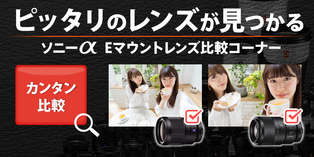 SONY SEL2870 デジタル一眼カメラα[Eマウント]用レンズ |エディオン