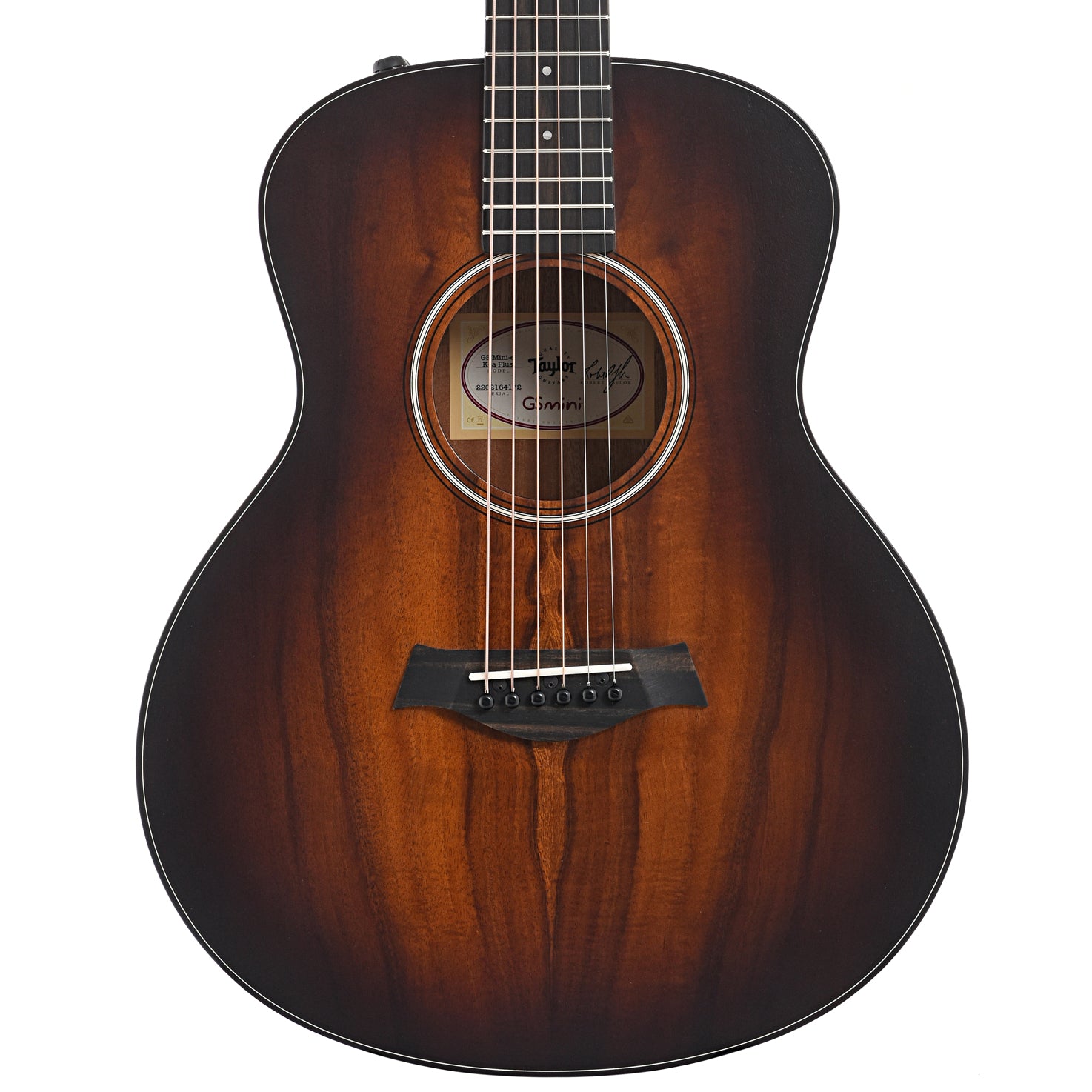 Taylor GS Mini-e Koa Plus & AeroCase – Elderly Instruments