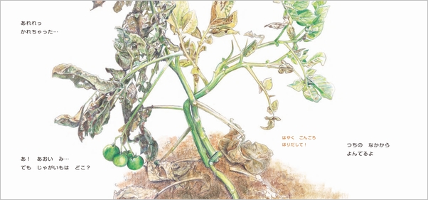 いのちある“植物”を絵本に織る いわさゆうこさんインタビュー（前編