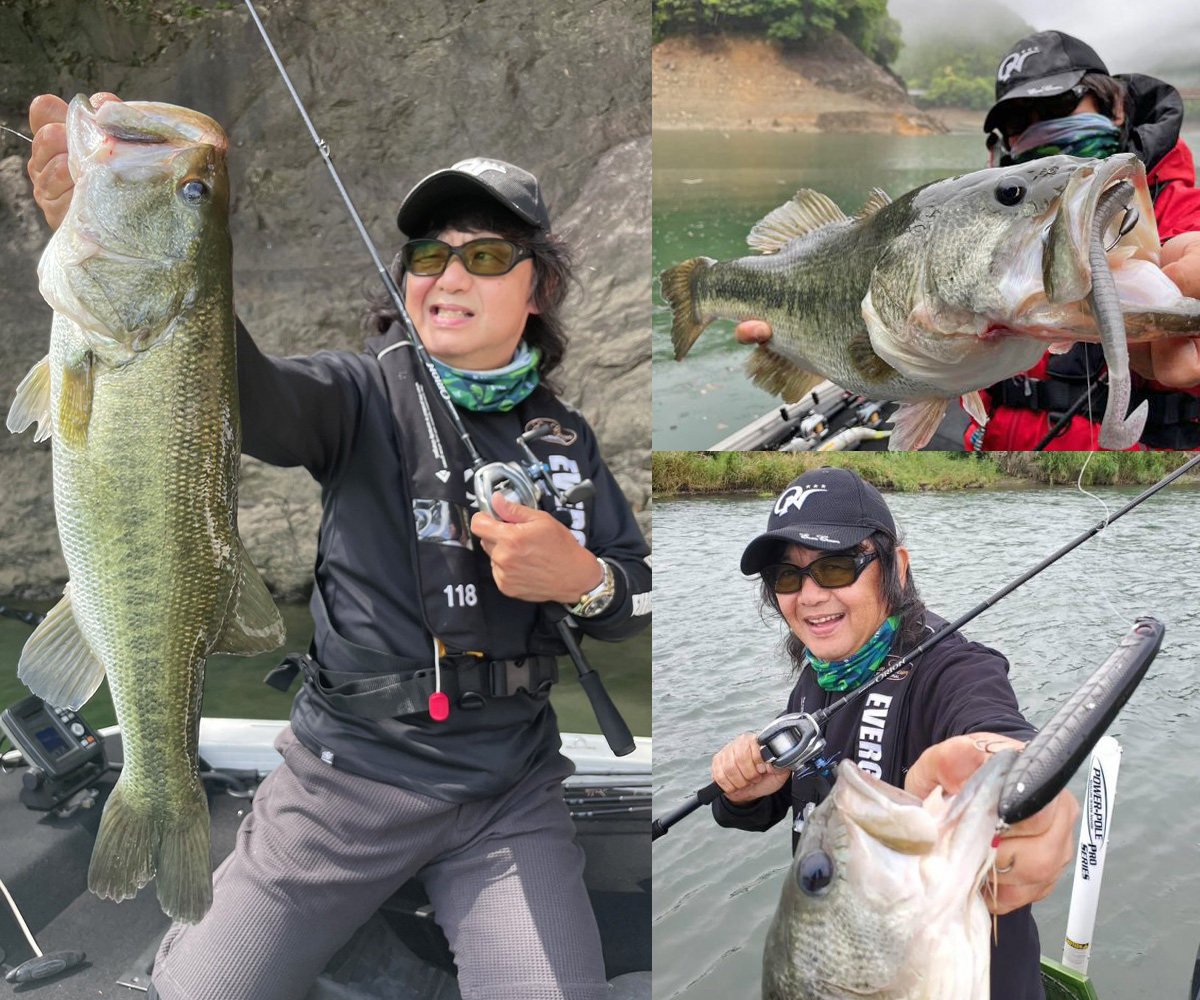 EVERGREEN（エバーグリーン インターナショナル） - OCSC-67MH ユミハリ