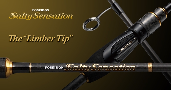 EVERGREEN（エバーグリーン インターナショナル） - PSSS-610S