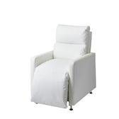 ラウンジチェアDX PRO（スノーホワイト）【リクライニング角度固定