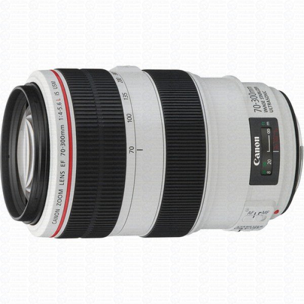 Canon Lente EF 70-300mm f/4-5.6L IS USM – Fotoglobal Equipamentos