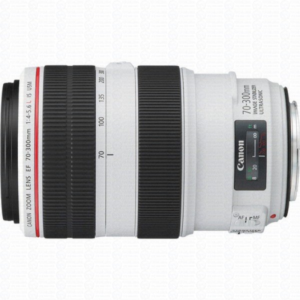 Canon Lente EF 70-300mm f/4-5.6L IS USM – Fotoglobal Equipamentos