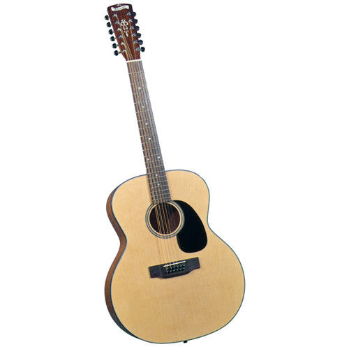 Blueridge 12 String Guitar - Folkmusician