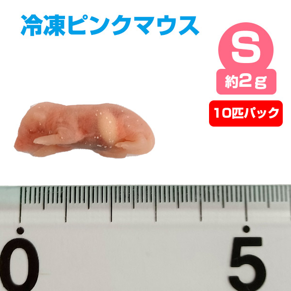 冷凍】 冷凍ピンクマウス Sサイズ（約2g）10匹パック（T2）【クール便