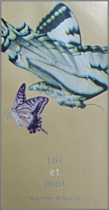 安室奈美恵 - toi et moi ,トワ・エ・モア AVDD+-20355/中古CD