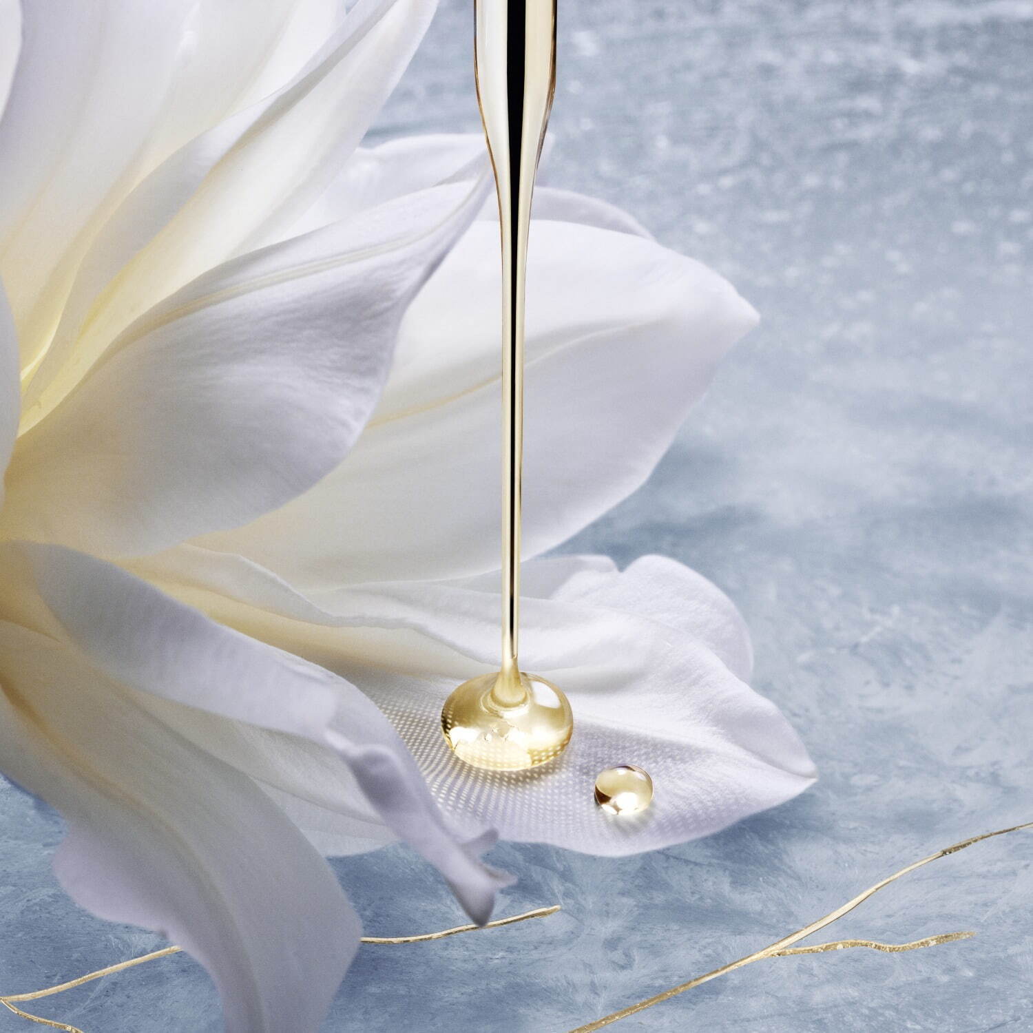 ヘレナ ルビンスタイン「プロディジー CELグロウ」初のオイルが24年秋