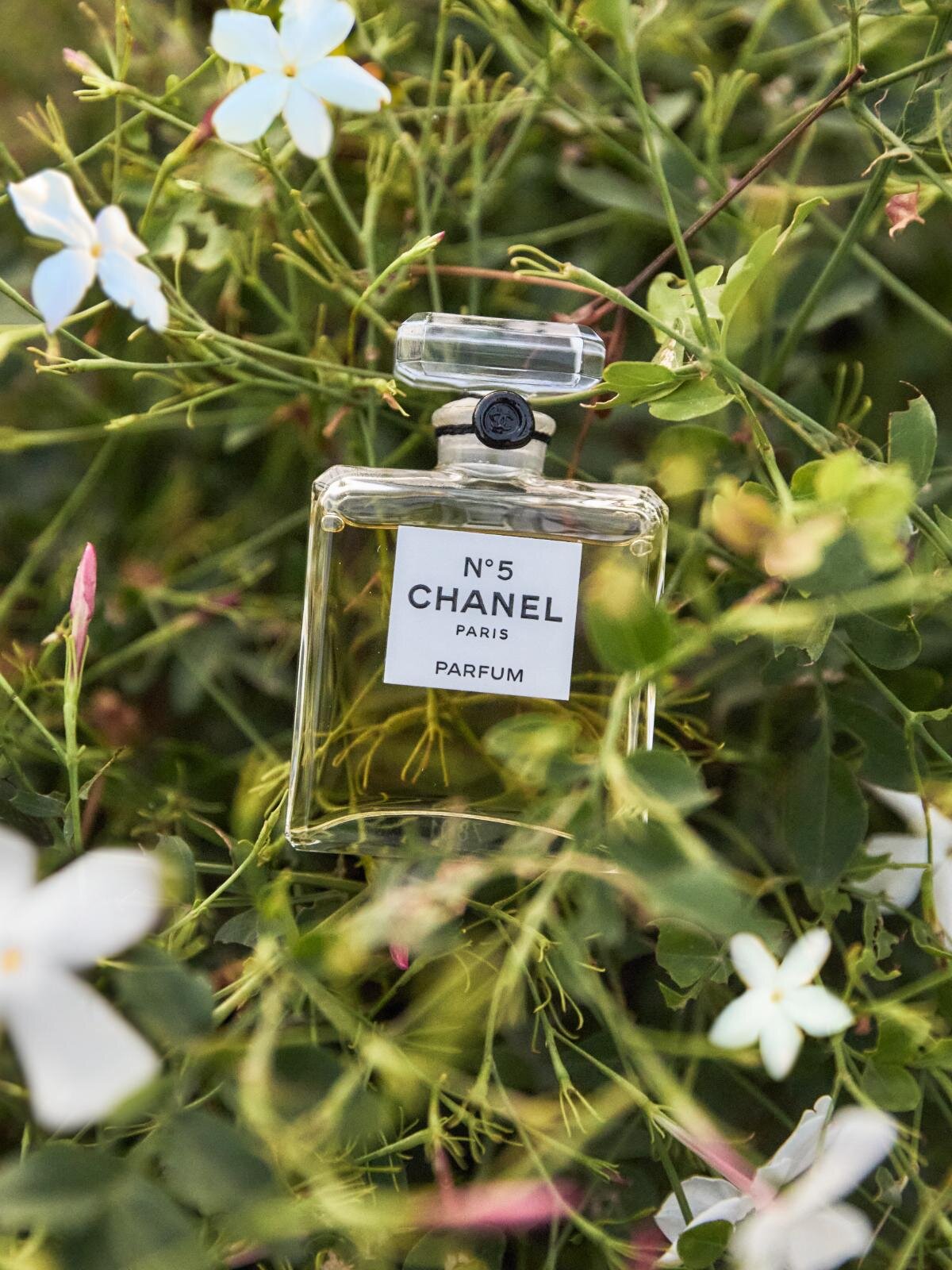 保存版】シャネル N°5とは？“花からフレグランス”になるまで、歴史