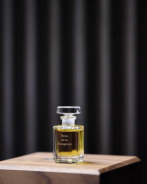 フエギア 1833、ローズとウードが“音楽のように重なる”新作香水「ロサ