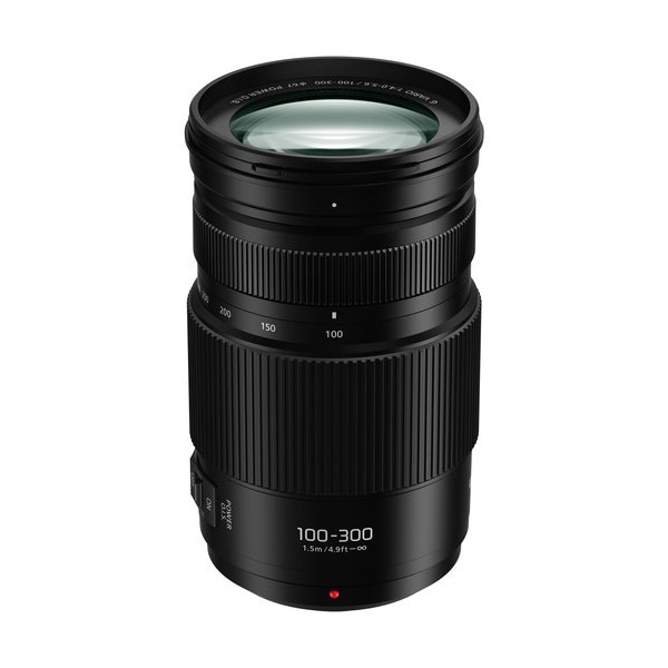 Panasonic Lumix G Vario 100-300mm f/4-5.6 II POWER O.I.S. Lens H