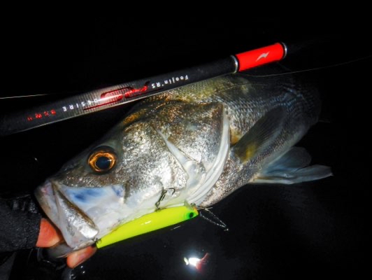Underground Angler Diary 】 秋田運河編10〜foojin'RS DESIRE95MH〜