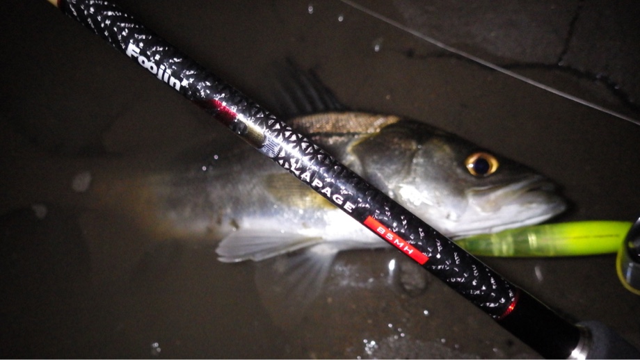 KAGEブログ 広島】 Foojin'AD LAPGE(ラパージュ)85MH インプレ