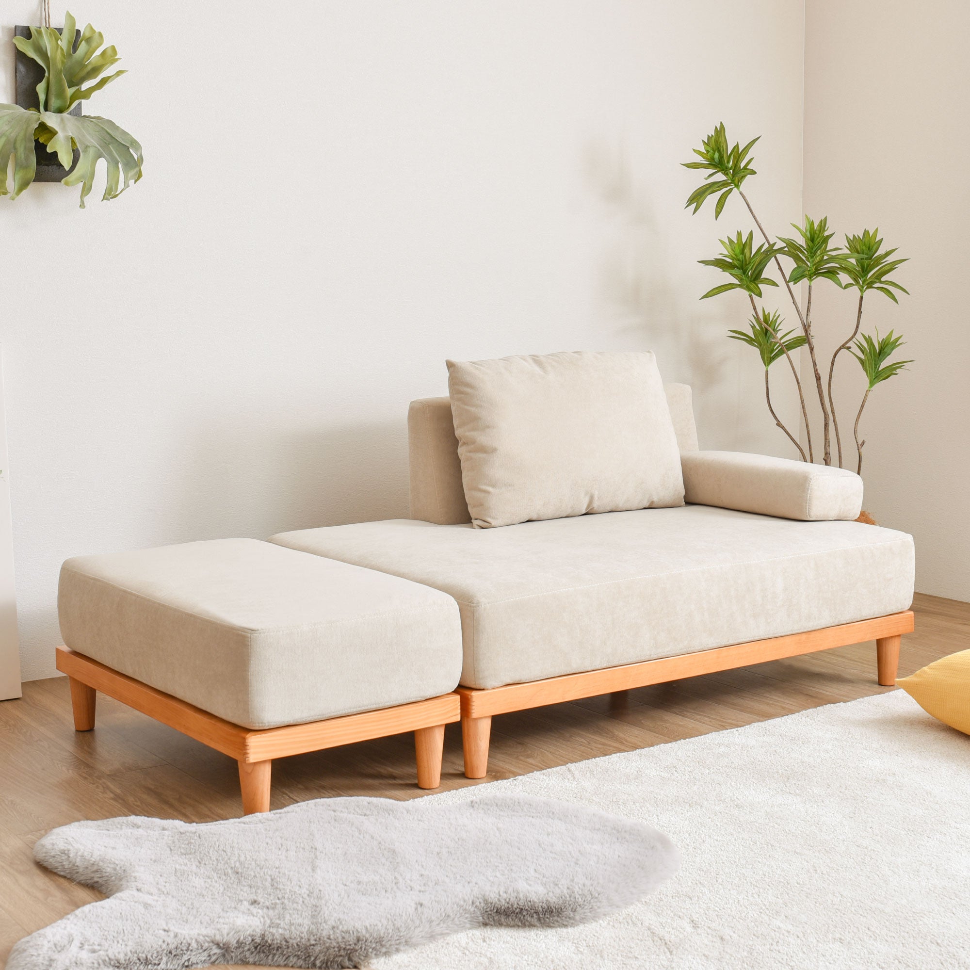 soroi2025 – FINE KAGU 公式