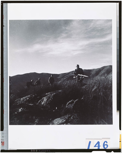 ゲルダ・タロー | 作品を知る | 東京富士美術館（Tokyo Fuji Art