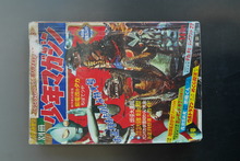 黒い野牛〔完全版〕（堀江卓）』 販売ページ | 復刊ドットコム