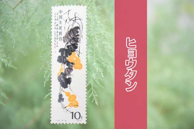 コレクター必見！中国切手「斉白石作品選（T44）」の全貌とデザインを